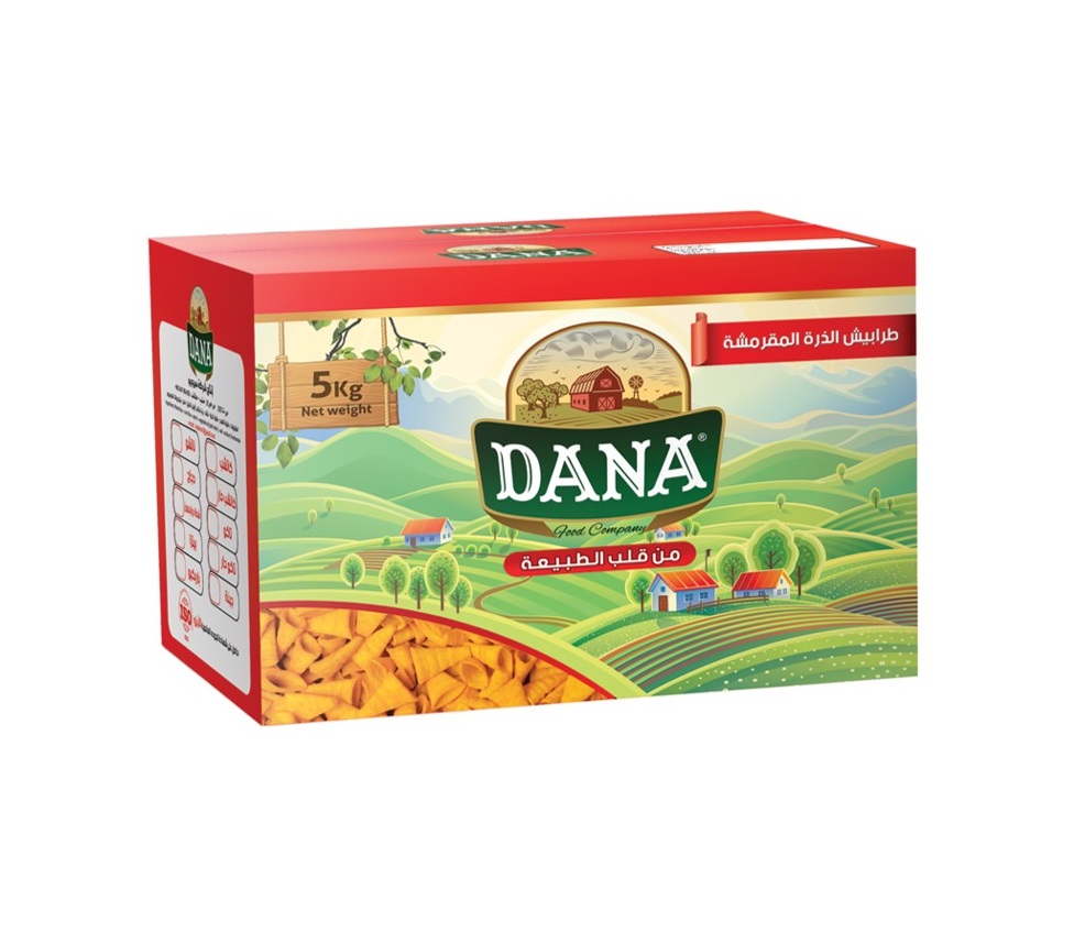 DANA ( CONES & STICKS ) CORN CHIPS 